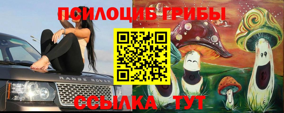 Галлюциногенные грибы Cubensis Славгород