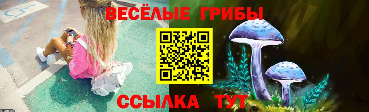 Галлюциногенные грибы Psilocybine cubensis  Галлюциногенные грибы мухоморы  Славгород  Вход с VPN 